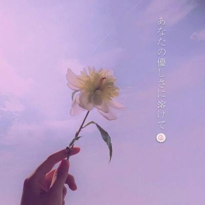 威斯尼斯wns888入口官方版下载