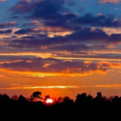 乐鱼app登录入口