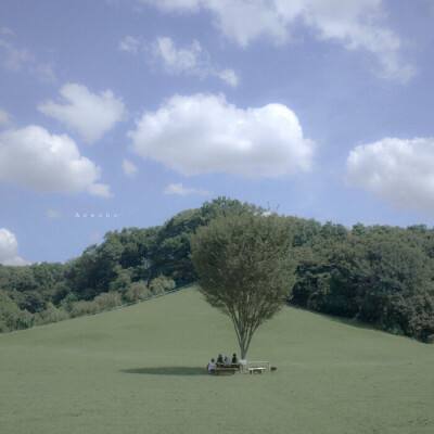 任你博下载手机版